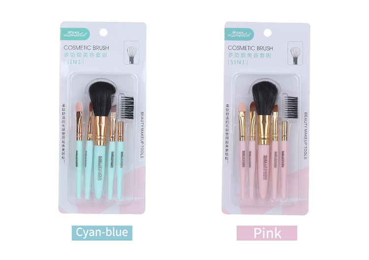 Portable Plastic Travel Suit 5 pcs In Pack Cosmetic Tools Private Label Makeup Brush Set L0774