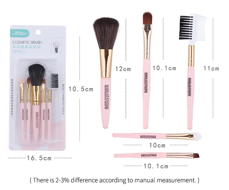 Portable Plastic Travel Suit 5 pcs In Pack Cosmetic Tools Private Label Makeup Brush Set L0774