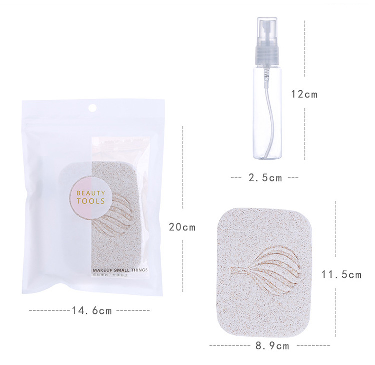 Facial cleaning puff hight quality walnut face washing sponge set with spray bottle B2108