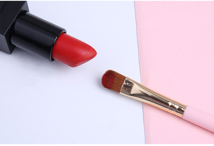 Lameila makeup accessories professional lip brush makeup brush B0479