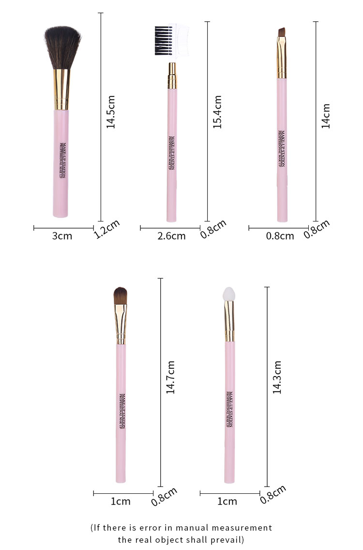 Lameila 5 Pcs In Pack Makeup Brush Set Private Label Portable Synthetic Hair Travel Suit Powder Concealer Eye Shadow Brush L0968
