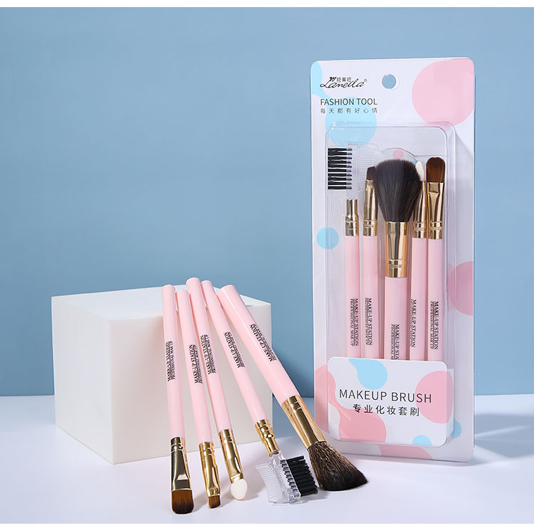 Lameila 5 Pcs In Pack Makeup Brush Set Private Label Portable Synthetic Hair Travel Suit Powder Concealer Eye Shadow Brush L0968