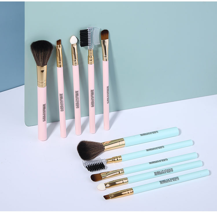 Lameila 5 Pcs In Pack Makeup Brush Set Private Label Portable Synthetic Hair Travel Suit Powder Concealer Eye Shadow Brush L0968