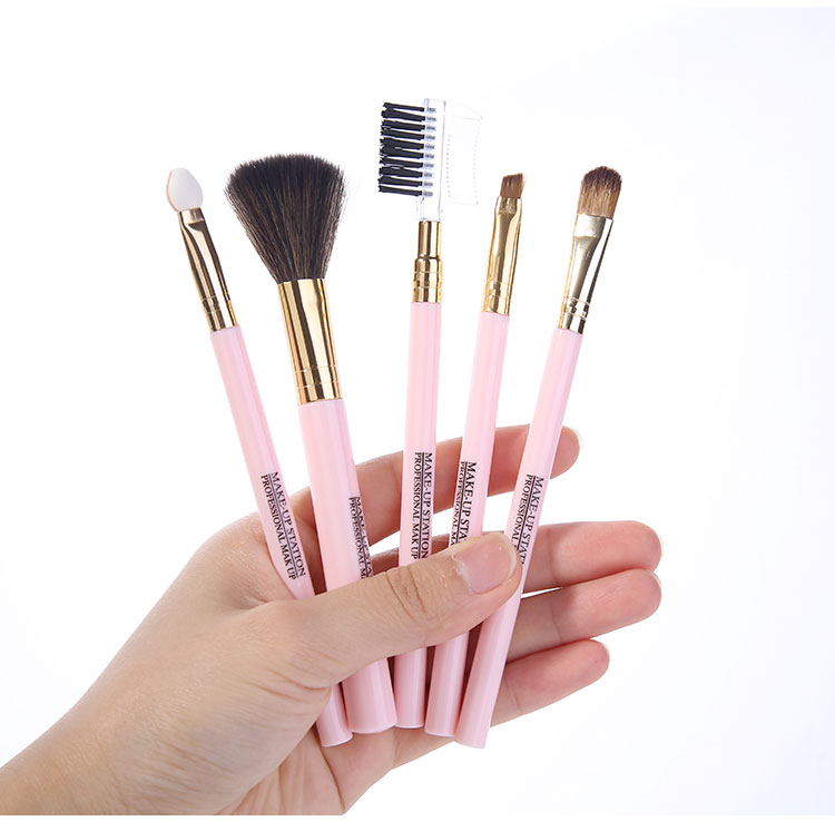 Lameila 5 Pcs In Pack Makeup Brush Set Private Label Portable Synthetic Hair Travel Suit Powder Concealer Eye Shadow Brush L0968