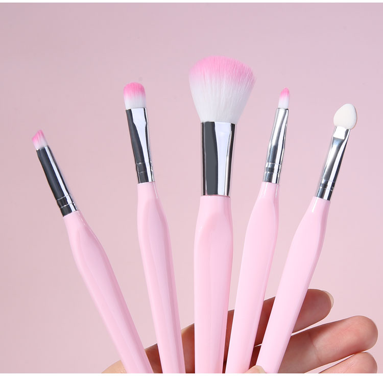 Lameila 5pcs Makeup Brushes Set Custom Logo With Plastic Case Synthetic Fibre Facial Foundation Powder Blush Brush L0969