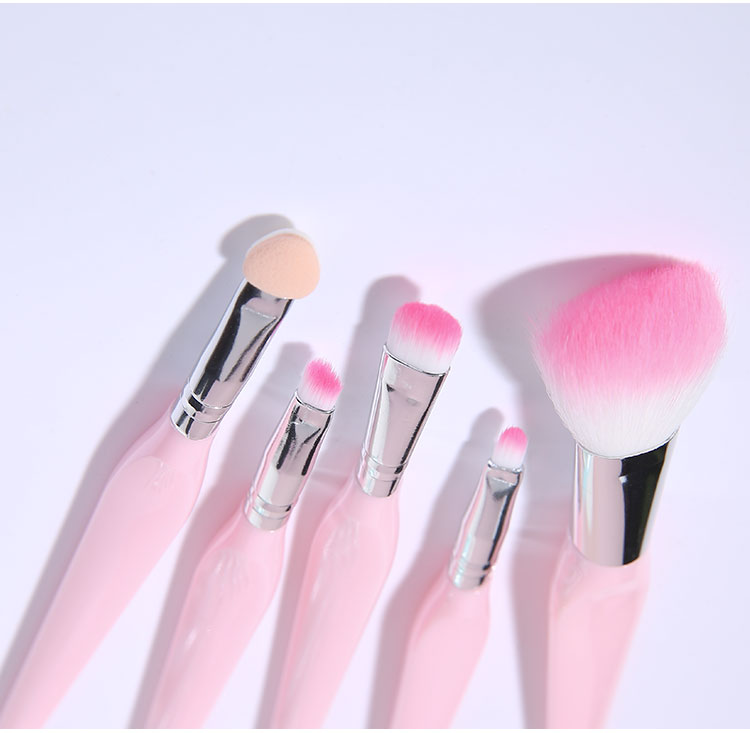 Lameila 5pcs Makeup Brushes Set Custom Logo With Plastic Case Synthetic Fibre Facial Foundation Powder Blush Brush L0969