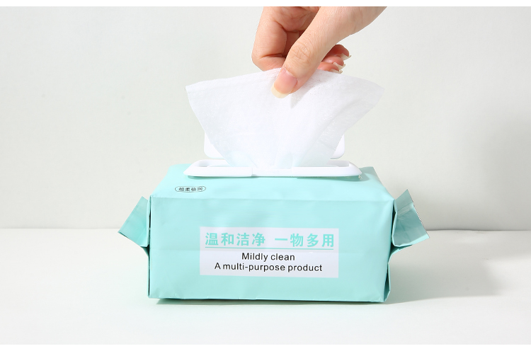 Yousha Disposable 80pcs fruit skin friendly portable facial clean soft wet tissue YL014 YL016 YL017