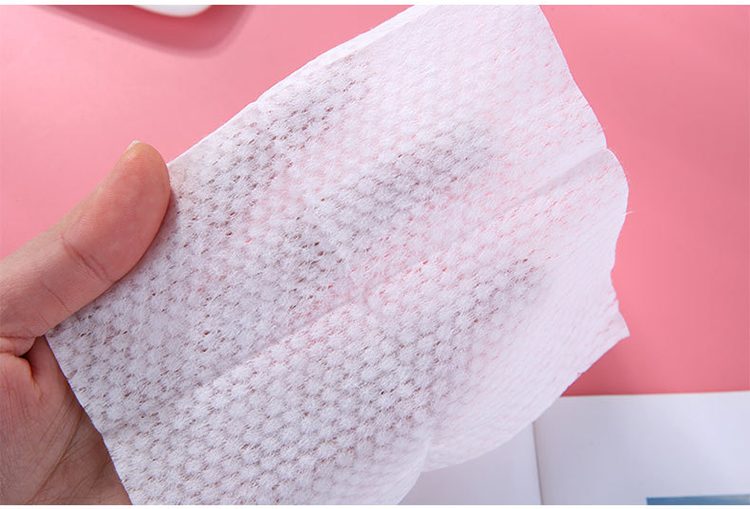 10pcs Lameila factory wholesale square cotton pads facial wipes cleaning face wet wipes pocket wet tissue E2119