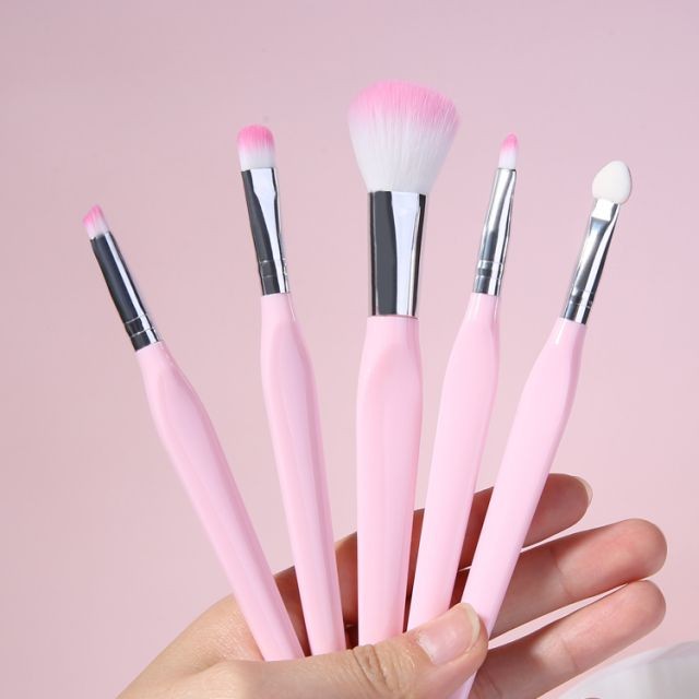 Lameila 5pcs Makeup Brushes Set Custom Logo With Plastic Case Synthetic Fibre Facial Foundation Powder Blush Brush L0969